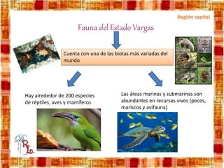 Fauna del Estado Vargas
Cuenta con una de las biotas más variadas del
mundo
Hay alrededor de 200 especies
de réptiles, aves y mamíferos
Las áreas marinas y submarinas son
abundantes en recursos vivos (peces,
mariscos y avifauna)
 