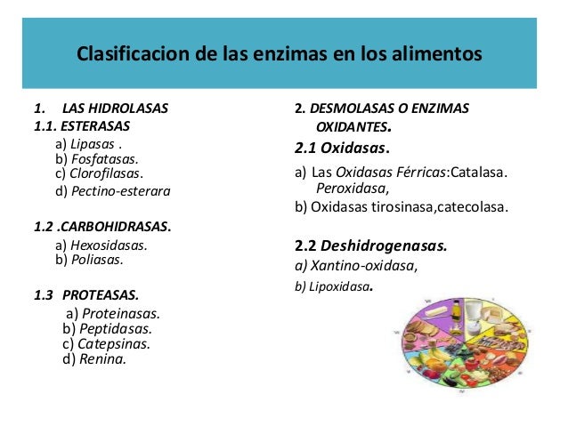 Enzimas y su uso en la industria Enzimas y su uso en la industria