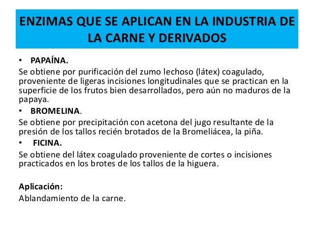 Enzimas y su uso en la industria Enzimas y su uso en la industria