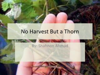 No Harvest But a Thorn
By: Shahnon Ahmad
 