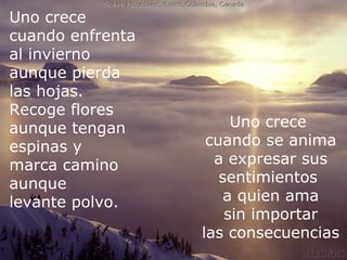 Uno crece
cuando enfrenta
al invierno
aunque pierda
las hojas.
Recoge flores
aunque tengan                            Uno crece
espinas y                           cuando se anima
    ¿Sufriste mucho en este periodo? ... Fue aprendizaje
                                     a expresar sus
marca camino
aunque                                 sentimientos
levante polvo.                          a quien ama
                                        sin importar
                                   las consecuencias
 