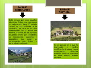 PAISAJE
CULTURAL
Está formado por todos aquellos
elementos físicos que componen
un determinado lugar. El paisaje
natural es obra exclusiva de la
naturaleza; es decir, no ha sido
transformado por la acción del
hombre. Se trata de los espacios
ocupados antaño por sociedades
de recolectores, cazadores y
pescadores que tenían un
conocimiento muy íntimo y
especializado del medio.
PAISAJE
GEOGRAFICO
Es un paisaje en el cual ha
intervenido el hombre,
modificando al paisaje natural
construyendo viviendas,
edificios, caminos, cultivando
la tierra, talando árboles,
etcétera.
 