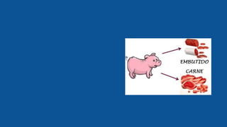 Nohema experiencia de aula (1)