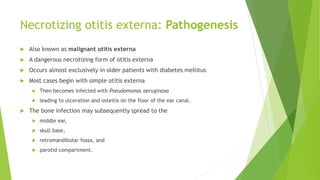 Necrotizing otitis externa: Pathogenesis
 Also known as malignant otitis externa
 A dangerous necrotizing form of otitis externa
 Occurs almost exclusively in older patients with diabetes mellitus
 Most cases begin with simple otitis externa
 Then becomes infected with Pseudomonas aeruginosa
 leading to ulceration and osteitis on the floor of the ear canal.
 The bone infection may subsequently spread to the
 middle ear,
 skull base,
 retromandibular fossa, and
 parotid compartment.
 