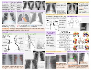 Vị thế tim Vị trí tim Mỏm tim Diaphgram: Cơ hoành Edge: Màng phổi – Góc sườn/tâm hoành
Levocardia Ưu thế T Hướng T Hình vòm, bờ nhẵn.
Thường bên P cao
hơn T 1.5-2 cm.
Có thể bằng/ thấp hơn k quá 1cm.
Vòm hoành cao bất thường:
Nhão hoành, liệt cơ hoành;
TDMP thể hoành; abscess dưới
hoành; gan to, u gan; báng bụng
Màng phổi chỉ thấy
khi có bất thường
(TKMP, TDMP, dày MP)
Màu cam: Góc tâm
hoành – tù
Màu xanh: Góc
sườn hoành – nhọn
Dextrocardia Ưu thế P Hướng P
Masocardia Giữa Hướng ↓
Dextroversion Ưu thế P Hướng T
Chỉ số tim lồng ngực Các buồng tim
Chỉ số tim – LN: (a+b)/c
Bình thường: < 0.5 (PA)
Hồng – RA: Nhĩ phải. Xanh dương – RV: Thất phải.
Đỏ – LV: Thất trái. Xanh lá – LA: Nhĩ trái
Field: Phế trường – Các thùy phổi
So sánh phổi 2 bên: Phổi nở đều 2 bên?
Quan sát các vùng phổi từ trên xuống?
Các rãnh liên thùy
Bình thường: bờ nhĩ phải không vượt quá 1/3 trong phế trường bên phải, bờ thất
phải không vượt quá 2/3 trong phế trường bên trái.
Trung thất Các thùy – phân
thùy phổi
Các bờ trung thất Các đường trung thất
Phổi phải:
• Thùy trên (3)
• Thùy giữa (2)
• Thùy dưới (5)
Phổi trái:
• Thùy trên (5)
• Thùy dưới (5)
(số phân thùy)
Great vessels: Mạch máu lớn Động mạch phổi – Tuần hoàn phổi
Rốn phổi Động mạch chủ
Bthg: cung ĐMC < 6cm,
cung trái < 1.5cm tính từ
bờ ngoài cột sống hay
< 4cm từ đường giữa
Rốn phổi bên T thường cao hơn P (97%).
Đường kính mm thùy trên < thùy dưới.
Vùng đỉnh phổi
Vùng hạ đòn
Vùng giữa
Vùng đáy phổi Khe ngang
Thân
TM cánh
tay đầu
TMC trên
Rốn phổi phải
Bờ nhĩ phải
TMC
dưới
Viền mỡ
trước tim
Bờ thất trái
Viền mỡ
trước tim
Rốn phổi trái
Cung ĐMP
Quai ĐMC
ĐM dưới đòn
1: Đường gặp nhau của
màng phổi sau
2: Đường gặp nhau của
màng phổi trước
3: Đường cạnh ĐMC xuống
4: Đường cạnh T cột sống
5: Đường cạnh P cột sống
6: Đường cạnh P khí quản
7: Quai TM azygos
8: Đường cạnh azygos – TQ
Xóa mờ các đường
trung thất có thể
do bất thường tim
mạch, phổi hoặc
các u trung thất
Bình thường: 0 – 15mm
Bình thường: < 17mm
(hoặc 1 khoang liên sườn)
L R
Tuần hoàn phổi bình thường: Tăng dần từ trên
xuống dưới, thấy rõ vùng rốn phổi và tỉ số khẩu
kính mạch máu vùng đỉnh/đáy phổi là 0.5/1.0
DUONG
KIM
NGAN
 