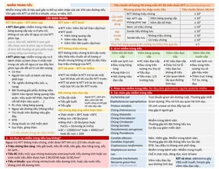 NHIỄM TRÙNG TIỂU Tiêu chuẩn số lượng VK trong mẫu NT để chẩn đoán NTT (bn chưa dùng kháng sinh)
Nhiễm trùng tiểu là hậu quả gây ra bởi sự xâm nhập của các VSV vào đường tiểu.
VSV gây nên NTT có thể là vi khuẩn, virus, vi nấm, KST.
Phương pháp thu thập nước tiểu Tiêu chuẩn (khúm VK/ml)
Lấy nước
tiểu giữa
dòng
NTT không triệu chứng ≥ 105
CÁC ĐỊNH NGHĨA Nữ: NTT cấp
không phức tạp
Viêm bàng quang cấp ≥ 103
NTT đơn giản – NTT phức tạp NTT trên – NTT dưới Viêm đài bể thận ≥ 104
• NTT đơn giản: nhiễm trùng niệu đạo,
bàng quang cấp xảy ra ở phụ nữ,
không có các yếu tố nguy cơ của NTT
phức tạp.
Lưu ý: hầu hết, NKĐTN ở nam giới
đều được xem là phức tạp vì thường
đi kèm bất thường về giải phẫu hoặc
chứng năng của đường niệu.
• NTT phức tạp: nhiễm trùng xảy ra ở
bệnh nhân có kèm theo ít nhất một
trong các yếu tố nguy cơ sau đây làm
phức tạp vấn đề xử trí và tiên lượng:
 Có thai
 Người lớn tuổi có bệnh nội khoa
phối hợp
 Tắc nghẽn đường tiểu (sỏi, u,
nang)
 Bất thường giải phẫu đường niệu
(bệnh trào ngược bàng quang niệu
quản, niệu quản bể thận, hẹp khúc
nối bể thận niệu quản . . .)
 RL chức năng bàng quang
 Ngoại vật đường tiểu (thông tiểu)
 Thủ thuật trên đường niệu gần
đây
 ĐTĐ
 Dùng thuốc ức chế miễn dịch
 Suy thận, ghép thận.
• NTT trên: Viêm đài bể thận cấp/mạn
• NTT dưới:
 Viêm bàng quang cấp
 Viêm niệu đạo cấp
 Viêm tiền liệt tuyến cấp/mạn
Nam: có triệu chứng ≥ 103
Đặt
sonde
tiểu
Sonde tiểu không lưu ≥ 102
Sonde tiểu lưu
Không triệu chứng ≥ 105
Có triệu chứng ≥ 102
Chọc hút bàng quang trên xương mu/chọc hút qua da ≥ 1
NTT không triệu chứng 2. Vị trí nhiễm trùng tiểu
NTT không triệu chứng là khi cấy nước
tiểu thỏa tiêu chuẩn về số lượng vi
khuẩn nhưng không có bất kỳ dấu hiệu
hay triệu chứng gì của NTT.
Viêm đài bể thận
cấp
Viêm bàng quang
cấp
Viêm niệu đạo
cấp
Viêm tiền liệt
tuyến cấp
• Sốt cao lạnh run
• Đau vùng hông
lưng
• Rung thận (+)
• Hội chứng niệu
đạo cấp
• HC niệu đạo cấp
• Đau vùng trên
xương mu (hạ vị)
• Tiểu đục
• Tiểu máu: 1/3
trường hợp
• HC niệu đạo cấp
• Chảy mủ từ lỗ
niệu đạo lúc
không đi tiểu
• Liên quan bệnh
lây qua đường
tình dục
• Sốt cao lạnh run
• Đau vùng trên
xương mu và
gần hậu môn
• Thăm trực tràng:
TLT to, nóng,
đau
NTT tái phát – NTT tái nhiễm
• NTT tái nhiễm là NTT trở lại do một
lọai VK khác với VK của lần NTT trước.
• NTT tái phát là NTT trở lại do cùng
một lọai VK của lần NTT trước.
3. Phân loại nhiễm trùng tiểu: lần đầu/đơn giảm/phức tạp/tái phát/tái nhiễm
Hội chứng niệu đạo cấp 4. Tác nhân gây nhiễm trùng tiểu
• Tiểu lắt nhắt
• Tiểu gắt buốt
• Tiểu gấp
Ngoài NTT, viêm âm
đạo, viêm tiền liệt
tuyến cũng có thể gây
HC niệu đạo cấp
Escherichia coli Trực khuẩn gram âm đường ruột. Thường gặp nhất
Staphylococcus saprophyticus Gram dương. Phụ nữ trẻ sau quan hệ tình dục.
Proteus mirabilis VK sinh urease và thúc đẩy tạo sỏi
Hội chứng đáp ứng viêm toàn thân Chủng Enterococcus Hay gặp ở người già
• Thân nhiệt > 38o
C hoặc <36o
C
• Nhịp tim >90 lần/phút
• Nhịp thở > 20 lần/phút hoặc
PaCO2 < 32mmHg (4.3 kPa)
• BC > 12000/mm3
hoặc < 4000/mm3
hoặc BC non > 10%
Chủng Klebsiella
Chủng Enterobacter
Chủng Citrobacter
Chủng Serratia
Pseudomonas aeruginosa
Chủng Providencia
Nhiễm trùng bệnh viện.
Thường gặp khi đặt thông tiểu lưu
Cơ địa suy giảm miễn dịch
≥ 2 tiêu chuẩn trong các tiêu chuẩn:
1. Có thực sự nhiễm trùng tiểu hay không? Candida albicans
Candidas tropicalis
Cryptococcus neoformans
Nấm. Hiếm gặp. Nhiễm trùng bệnh viện.
Thường gặp khi đặt thông tiểu lưu lâu dài.
ĐTĐ. Sau điều trị kháng sinh phổ rộng.
Ngoại trừ NTT không triệu chứng, chẩn đoán NTT khi có ≥ 2/3 tiêu chuẩn sau:
• Triệu chứng lâm sàng: tiểu gắt buốt, tiểu lắt nhắt, tiểu gấp, đau hông lưng, sốt,
ớn lạnh…
• Tiểu BC (tiểu mủ): que nhúng leukocyte esterase/nước tiểu dương tính hoặc soi
tươi nước tiểu đếm được hơn 5 BC/QT40 hoặc 10 BC/mm3
• Tiểu vi khuẩn: que nhúng nitrite/nước tiểu dương tính, hoặc cấy nước tiểu
kháng sinh đồ dương tính.
Staphyloccus aureus Nhiễm trùng bệnh viện. Nhiễm trùng huyết.
Lao Chỗ ở chật chội, đông đúc, kinh tế kém.
Clamydia trachomatis
Neisseria gonorrhea
Lậu cầu – Song cầu gram âm
Viêm niệu đạo lây
qua đường tình dục
KST và virus: adenovirus gây
VBQ xuất huyết, herpes gây
viêm niệu đạo cấp…
DUONG
KIM
NGAN
 