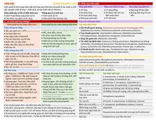 VIÊM PHỔI DƯƠNG KIM NGÂN – Y16D 2. Phân loại viêm phổi
Viêm phổi là tình trạng viêm cấp tính hay mạn tính nhu mô phổi di tác nhân vi sinh
vật, nguyên nhân dị ứng – miễn dịch, do tác nhân vật lý, hóa học…
Theo giải phẫu Theo nơi nhiễm trùng Theo đáp ứng điều trị
• VP thùy
• VP phân thùy
• VP dưới phân thùy
• Phế quản phế viêm
• VP cộng đồng
• VP bệnh viện (VP sau
48h nhập viện)
• VP thở máy
• Đáp ứng ĐT ban đầu
• Không đáp ứng ĐT ban
đầu
Viêm phổi xảy ra khi có điều kiện sau:
• Giảm hoạt động cung phản xạ ho
• Lớp niêm mạc giảm chức năng
Thông qua 2 cơ chế sau:
• Viêm phổi do hít
• Viêm phổi theo đường máu
1. Có viêm phổi hay không? Theo tác nhân gây bệnh
Viêm phổi do tác nhân điển hình Viêm phổi do tác nhân không điển hình Tác nhân điển hình
Triệu chứng cơ năng • Cầu khuẩn gram dương: Streptococcus pneumoniae (thường gặp nhất),
Staphylococcus aureus, Enterococcus faecalis, Enterococcus faecium
• Trực khuẩn gram âm: Haemophilus influenzae, Klebsiella pneumoniae,
Enterobacteriacae, Pseudomonas aeruginosa, Escherichia coli
• Song cầu gram âm: Moraxella catarrhalis
• Tác nhân tại bệnh viện: Enterococci kháng vancomycin, Staphylococcus kháng
methilcillin, Acinetobacter baumannii, Pseudomonas aeruginosa, Staphylococcus
aureus, Escherichia coli, Klebsiella pneumoniae, Proteus spp., H.influenza…
• Vi khuẩn kỵ khí: Bacteroides spp., Fusobacterium spp., Peptococcus spp.,
Peptostreptococcus spp., Mycobacterium tuberculosis,…
• Sốt cao, lạnh run > 39o
C (người già có thể k sốt)
• Ho khạc đàm mủ
• Đau ngực kiểu màng phổi
• Tím tái, khó thở, suy hô hấp
• Buồn nôn, ói, tiêu chảy
• Mệt, đau đầu, đau cơ, đau khớp
• Nổi ban da
Thường ở trẻ em, người trẻ, triệu chứng phát triển chậm
• Sốt, nhức đầu, uể oải
• Ho khan hay ho khạc đàm nhầy
• Thường không suy hô hấp
• Hiếm khi có triệu chứng màng phổi
• Đôi khi tổn thương đa cơ quan, gây tử
vong ở bn lớn tuổi.
Triệu chứng thực thể
• Triệu chứng của suy hô hấp: tăng nhịp
thở, co kéo cơ hô hấp phụ, thay đổi tri
giác, tím tái…
• Hội chứng đông đặc: rì rào phế nang
giảm, gõ đục, rung thanh tăng
• Ran nổ, ran ẩm. Có thể có tiếng cọ màng phổi
• Nhịp thở thường không tăng
• Nhịp tim chậm tương đối
• Ran ẩm, ran nổ rải rác
• Có thể có đủ các triệu chứng tương tự
như viêm phổi do tác nhân điển hình
Tác nhân không điển hình
Legionella pneumophila, Mycoplasma pneumonia, Chlamydia trachomatis,
Coxiella burnetti, Chlamydophila pneumoniae
Viêm phổi không do vi khuẩn: do virus (Adenovirus, Varicella, RSV, Parainfluenza virus,
Coronavirus, Coxsackie virus, Epstein-Barr virus Rhinovirus, Herpes simplex virus, Cytomegalovirus…),
do nấm, do KST, do hóa chất, do điều tri…
Cận lâm sàng
• BC tăng cao > 10000/mm3
hoặc có thể
giảm < 3000/mm3
, đặc biệt trong bn
nghiện rượu mạn tính và/hoặc xơ gan
• Xquang ngực: hình ảnh viêm phổi
thùy, phế quản phế viêm, có thể có
TDMP cận viêm, tràn mủ MP
• Chức năng gan có thể biến đổi nhẹ
• Khí máu: giảm PaO2, tăng PaCO2 khi
suy hô hấp
• Test phát hiện kháng nguyên: chẩn
đoán S.pneumoniae
• BC tăng nhẹ hoặc bình thường, có thể
tăng ưu thế lympho, VS tăng nhẹ, CRP
tăng nhẹ
• Xquang ngực : tổn thương mô kẽ, 1
hoặc 2 bên, phần lớn ở thùy dưới.
• Huyết thanh chẩn đoán: hiệu giá
kháng thể đặc hiệu của 1 tác nhân
tăng 4 lần sau 2 – 3 tuần chẩn đoán tác
nhân không điển hình cũng như tác nhân không
thường gặp Coxiella burnetti
• Test phát hiện kháng nguyên: chẩn
đoán Legionella pneumophila
Yếu tố thuận lợi Tác nhân nghi ngờ
Nghiện rượu
S. pneumoniae¸ vi khuẩn kị khí miệng, Klebsiella
pneumoniae, Acinetobacter sp
COPD và/hay hút thuốc
H.influenza, P. aeruginosa, Legionella sp, S.
pneumoniae, M. catarrhalis, C. pneumoniae
Hít VK gram âm đường ruột, VK kỵ khí miệng
Áp xe phổi CA-MRSA, VK kỵ khí miệng, nấm, Mycobacteria KĐH
Tiếp xúc nước dãi dơi
hay chim
Histoplasma capsulatum
Tắc nội PQ VK kỵ khí, S. pneumoniae, H.influenza, S.aureus
• Soi nhuộm gram đàm: cần đảm bảo mẫu đạt chuẩn (< 10tb biểu mô, > 25BC/QT nhỏ; BC/tb biểu mô > 5)
• Cấy đàm: dương tính < 50% khi mẫu đạt chuẩn; không chỉ định thường quy
• Nội soi phế quản: (+) khi > 104
-105
khúm VK/mL; chỉ định khi không đáp ứng KS
• Procalcitonin có ý nghĩa tiên lượng, giúp xác định điều trị kháng sinh hay không
• Cấy máu, kỹ thuật vi sinh mới…; hạ Na do tiết ADH k thích hợp thường do nhiễm Legionella
Bệnh cấu trúc phổi (dãn PQ) P. aeruginosa, Burkholderia cepacia, S.aureus
Ghép tạng, suy thận Legionella
Đuối nước ngọt hoặc hít
phải bùn đất
Pseudomonas pseudomallei (còn gọi là VK withmore)
Dịch lợn Streptococcus suis (liên cầu lợn)
DUONG
KIM
NGAN
 
