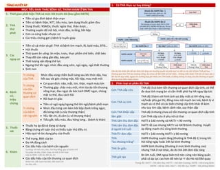 TĂNG HUYẾT ÁP 1. Có THA thực sự hay không?
MỤC TIÊU KHAI THÁC BỆNH SỬ, THĂM KHÁM Ở BN THA
Cần đo HA nhiều lần để xác định HA tăng cao thường xuyên và phải loại trừ tất cả các yếu tố làm THA giả tạo,
thoáng qua như THA áo choàng trắng, do stress về thể chất và tinh thần… Không chẩn đoán THA khi chỉ dựa vào 1
lần đo HA duy nhất, ngoại trừ trường hợp ghi nhận cơn THA hoặc có bằng chứng rõ ràng của tổn thương cơ quan
đích tại thời điểm thăm khám.
1. Thời gian phát hiện THA và mức HA trước đó (bao gồm HATN)
2. THA
thứ
phát
• Tiền sử gia đình bệnh thận mạn
• Tiền sử bệnh thận, NTT, tiểu máu, lạm dụng thuốc giảm đau
• Dùng thuốc: NSAIDs, thuốc ngừa thai, thảo dược…
• Thường xuyên đổ mồ hôi, nhức đầu, lo lắng, hồi hộp
• Cơn co cứng hoặc nhược cơ
• Các triệu chứng gợi ý bệnh lý tuyến giáp
3. Các
nguy cơ
• Tiền sử cá nhân và gđ: THA và bệnh tim mạch, RL lipid máu, ĐTĐ…
• Hút thuốc
• Thói quen ăn uống: ăn mặn, rượu, thực phẩm chế biến, chất béo
• Thay đổi cân nặng gần đây, béo phì
• Thời lượng vận động thể lực
• Ngưng thở khi ngủ: nhức đầu sáng sớm, ngủ ngáy, ngủ thất thường
• Sinh non
4. Bệnh
sử,
triệu
chứng
Tr.chứng
của THA
Nhức đầu vùng chẩm buổi sáng sau khi thức dậy, hay
hết sau vài giờ; chóng mặt, hồi hộp, mau mệt mỏi
Tr.chứng
của tổn
thương cơ
quan đích
• Cơ quan đích: não, mắt, tim, thận, mạch máu lớn
• Thường gặp: chảy máu mũi, nhìn lóa do tổn thương
võng mạc, đau ngực do bóc tách ĐMC ngực, chóng
mặt tư thế, đau cách hồi
• Rối loạn tri giác
2. Phân loại và phân độ THA
Cơn THA cấp cứu
THA độ 3 có kèm tổn thương cơ quan đích cấp tính, có thể
đe doạ tính mạng bn và cần thiết phải hạ HA ngay lập tức
Cơn THA ác tính
THA độ 3 kèm với hình ảnh soi đáy mắt có XH võng mạc
và/hoặc phù gai thị, đông máu nội mạch lan toả, bệnh lý vi
mạch và có thể có các biến chứng cấp tính khác đi kèm
như suy tim cấp, bệnh cảnh não, suy thận cấp
Tr.chứng
của bệnh
căn nguyên
• Tiền sử ngủ ngáy/ngưng thở khi ngủ/bệnh phổi mạn
• Nhức đầu từng cơn kèm hồi hộp đánh trống ngực,
đỏ bừng mặt (u tủy thượng thận)
• Yếu liệt chi, dị cảm (u vỏ thượng thận)
• Tiểu gắt, tiểu máu, đau hông lưng… (bệnh lý thận)
Cơn THA khẩn cấp THA độ 3 nhưng chưa có tổn thương cơ quan đích cấp tính
Sản giật Cơn THA cấp cứu ở phụ nữ có thai
THA tâm thu đơn độc HATT ≥ 140 mmHg và HATTr < 90 mmHg
5. Thuốc
HA
• Thuốc hạ áp đã và đang sử dụng
• Bằng chứng về tuân thủ và thiếu tuân thủ điều trị
• Hiệu quả và tác dụng phụ của thuốc
THA tâm thu đơn độc
ở người trẻ tuổi
HATT rất cao nhưng HATTr và HATB bình thường. Huyết
áp động mạch chủ cũng bình thường.
THATTr đơn độc HATT < 140 mmHg HATTr ≥ 90 mmHg
6. Khám
• Thể trạng, BMI của bn
• Đo HA đúng cách
• Các dấu hiệu của bệnh căn nguyên
Cushing: vẻ mặt tròn, béo, má ửng hồng, gáy có bướu mỡ
Suy giáp: da dày, chậm chạp, vẻ mặt ít linh hoạt
Hẹp eo ĐMC: mất cân đối các chi
• Các dấu hiệu của tổn thương cơ quan đích
Khám tim, bắt mạch hai bên, bắt mạch chi
Soi đáy mắt…
THA
“áo choàng trắng”
HAPK thường xuyên tăng (thường là THA độ 1) trong khi
HA hằng ngày hoặc 24h lại bình thường
THA ẩn giấu
HAPK bình thường (thường ở mức bình thường cao)
nhưng THA ở nơi khác, do đó HA 24h đơn độc tăng
THA giả tạo
Bn lớn tuổi, ĐM ngoại biên trở nên cứng nên băng quấn
phải có áp lực cao hơn để nén lại  đo HA nội ĐM quay
Trong đó: HATT – HA tâm thu; HATTr – HA tâm trương; HATB – HA trung bình;
HATN – HA tại nhà; HALT – HA liên tục; HAPK – HA phòng khám
DUONG
KIM
NGAN
DUONG
KIM
NGAN
 