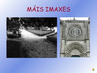 MÁIS IMAXES 
