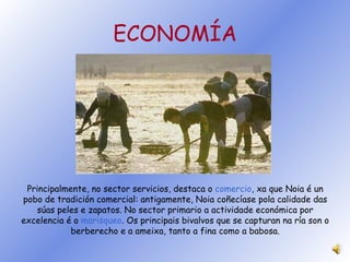 ECONOMÍA Principalmente, no sector servicios, destaca o  comercio , xa que Noia é un pobo de tradición comercial: antigamente, Noia coñecíase pola calidade das súas peles e zapatos. No sector primario a actividade económica por excelencia é o  marisqueo . Os principais bivalvos que se capturan na ría son o berberecho e a ameixa, tanto a fina como a babosa. 