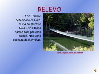 RELEVO O río Tambre desemboca en Noia, na ría de Muros e Noia. O río traba tamén pasa por esta cidade. Noia está rodeada de montañas. Ponte colgante sobre río Tambre 