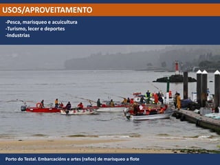 USOS/APROVEITAMENTO
-Pesca, marisqueo e acuicultura
-Turismo, lecer e deportes
-Industrias
Porto do Testal. Embarcacións e artes (raños) de marisqueo a flote
 
