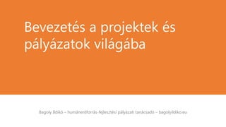 Bagoly Ildikó – humánerőforrás-fejlesztési pályázati tanácsadó – bagolyildiko.eu
Bevezetés a projektek és
pályázatok világába
 