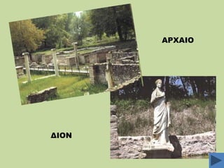 ΑΡΧΑΙΟ

ΔΙΟΝ

 