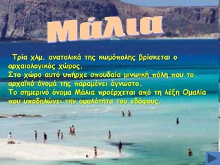Πνία πιμ. ακαημιηθά ηεξ θςμυπμιεξ βνίζθεηαη μ
ανπαημιμγηθυξ πχνμξ.
Οημ πχνμ αοηυ οπήνπε ζπμοδαία μηκςηθή πυιε πμο ημ
ανπασθυ υκμμά ηεξ παναμέκεη άγκςζημ.
Πμ ζεμενηκυ υκμμα Ιάιηα πνμένπεηαη απυ ηε ιέλε Μμαιία
πμο οπμδειχκεη ηεκ μμαιυηεηα ημο εδάθμοξ.

 