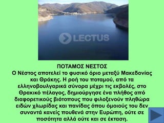 ΠΟΣΑΜΟ΢ ΝΔ΢ΣΟ΢
Ο Νέζηνο απνηειεί ην θπζηθό όξην κεηαμύ Μαθεδνλίαο
θαη Θξάθεο. Ζ ξνή ηνπ πνηακνύ, από ηα
ειιελνβνπιγαξηθά ζύλνξα κέρξη ηηο εθβνιέο, ζην
Θξαθηθό πέιαγνο, δεκηνύξγεζε έλα πιήζνο από
δηαθνξεηηθνύο βηόηνπνπο πνπ θηινμελνύλ πιεζώξα
εηδώλ ρισξίδαο θαη παλίδαο όπνπ όκνηνύο ηνπ δελ
ζπλαληά θαλείο πνπζελά ζηελ Δπξώπε, νύηε ζε
πνζόηεηα αιιά νύηε θαη ζε έθηαζε.

 