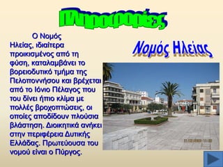 Ο Ννκφο
Ζιείαο, ηδηαίηεξα
πξνηθηζκέλνο απφ ηε
θχζε, θαηαιακβάλεη ην
βνξεηνδπηηθφ ηκήκα ηεο
Πεινπνλλήζνπ θαη βξέρεηαη
απφ ην Ηφλην Πέιαγνο πνπ
ηνπ δίλεη ήπην θιίκα κε
πνιιέο βξνρνπηψζεηο, νη
νπνίεο απνδίδνπλ πινχζηα
βιάζηεζε. Γηνηθεηηθά αλήθεη
ζηελ πεξηθέξεηα Γπηηθήο
Διιάδαο. Πξσηεχνπζα ηνπ
λνκνχ είλαη ν Πχξγνο.

 