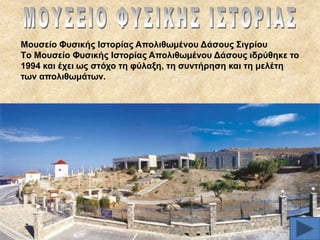 Μνπζείν Φπζηθήο Ηζηνξίαο Aπνιηζσκέλνπ Γάζνπο ΢ηγξίνπ
Tν Μνπζείν Φπζηθήο Ηζηνξίαο Aπνιηζσκέλνπ Γάζνπο ηδξύζεθε ην
1994 θαη έρεη σο ζηόρν ηε θύιαμε, ηε ζπληήξεζε θαη ηε κειέηε
ησλ απνιηζσκάησλ.

 