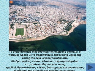 To ζεκαληηθόηεξν νηθνζύζηεκα ηεο πεξηνρήο απνηειεί, ν
πνηακόο Άξδαο κε ην παξαπνηάκην δάζνο θαηά κήθνο ηεο
θνίηεο ηνπ. Μηα κεγάιε πνηθηιία από
δέλδξα, θηειηέο, θηζζνί, πιαηάληα, αγξηνηξαληάθπιια
θ.α., ζπάληα είδε πνπιηώλ όπσο
εξσδηνί, δξπνθνιάπηεο, θύθλνη, βνπηερηάξηα θαη αγξηόπαπηεο

 