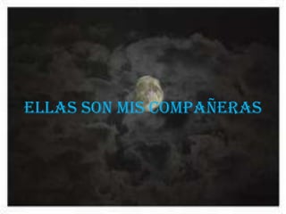 ELLAS SON MIS COMPAÑERAS