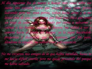 Al día siguiente fui de nuevo a buscar más cosas sobre ese sueño tan extraño hasta que escuché unos como perros ladrando pero no  eran perros, volteé hacia atrás y se me lanzó una de esas cosas hasta que llegó una chica que tenía un traje de color café, muy lindo por cierto a salvarme y calmar a las bestias, cuando se fueron; me volteó a ver y caminó hacia el fondo del bosque, yo la seguí haciéndole preguntas y diciéndole que me esperara, por fin paró, dándome la espalda, me volteó a ver y desapareció. No me creyeron mis amigos de lo que había sucedido, hasta se me hacía difícil creerlo, pero me quedé pensando del porqué me había salvado. 