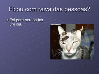 Ficou com raiva das pessoas? Foi para perdoa-las um dia. 