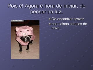 Pois é! Agora é hora de iniciar, de pensar na luz, De encontrar prazer  nas coisas simples de novo. 