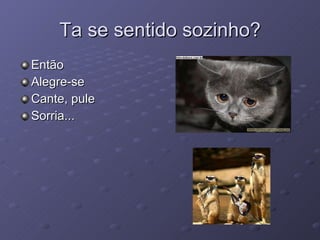 Ta se sentido sozinho? Então Alegre-se Cante, pule Sorria... 