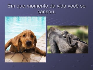 Em que momento da vida você se cansou, 