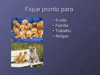 Fique pronto para  A vida  Família Trabalho Amigos 
