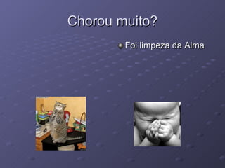 Chorou muito? Foi limpeza da Alma 