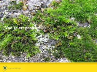 Vad är ett projekt? 