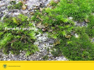 Form för projekt 
