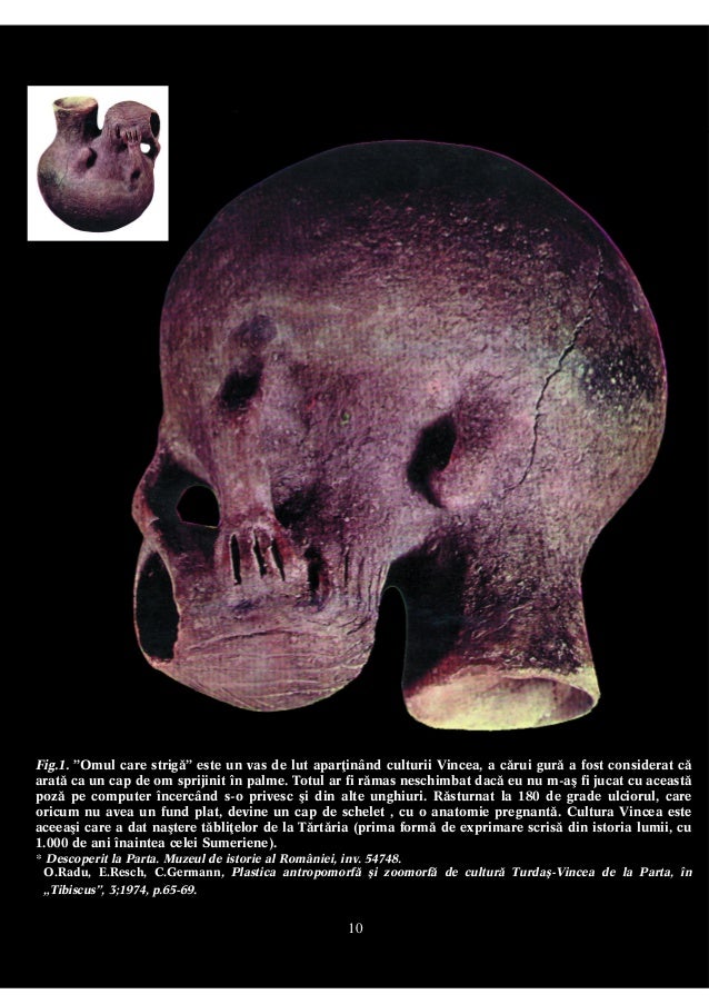 Noi Nu Suntem Urmasii Romei Dr Napoleon Savescu