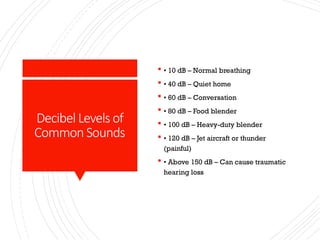 Noise_and_Thermal_Pollution_Presentation.pptx