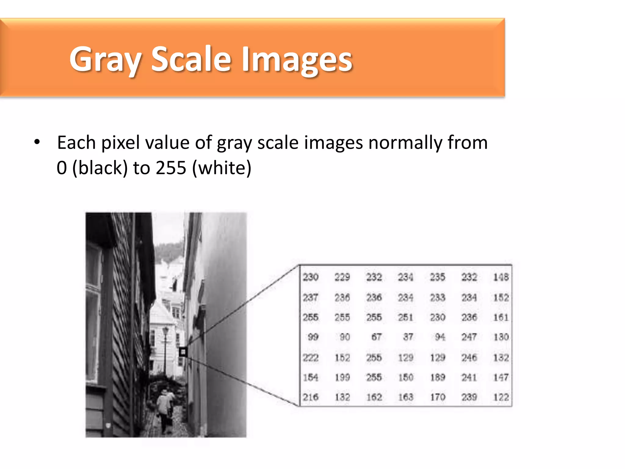 Gray Scale Images
• Each pixel value of gray scale images normally from
0 (black) to 255 (white)

 