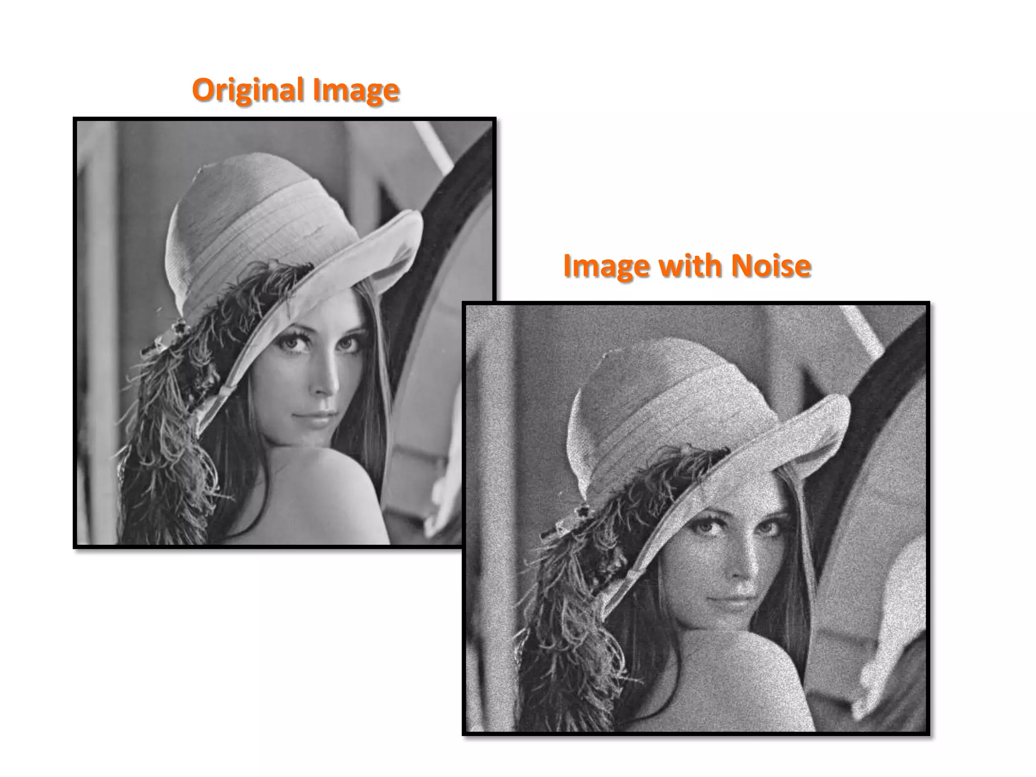 Original Image

Image with Noise

 