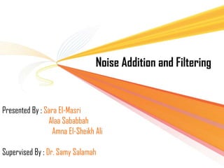 Noise Addition and Filtering

`

Presented By : Sara El-Masri
Alaa Sababbah
Amna El-Sheikh Ali
Supervised By : Dr. Samy Salamah

 