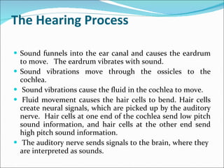 The Hearing Process Sound funnels into the ear canal and causes the eardrum to move.   The eardrum vibrates with sound.   Sound vibrations move through the ossicles to the cochlea.     Sound vibrations cause the fluid in the cochlea to move.     Fluid movement causes the hair cells to bend. Hair cells create neural signals, which are picked up by the auditory nerve.  Hair cells at one end of the cochlea send low pitch sound information, and hair cells at the other end send high pitch sound information.     The auditory nerve sends signals to the brain, where they  are interpreted as sounds. 