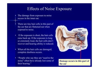 Effects of Noise Exposure
• The damage from exposure to noise
occurs in the inner ear.
• There are tiny hair cells in this part of
the ear that are flattened out when
exposed to noise.
• If the exposure is short, the hair cells
raise back up. If the exposure is long
or extremely loud, the hair cells don’t
recover and hearing ability is reduced.
• When all the hair cells are damaged,
complete deafness occurs.
• “People who say they are “used to the
noise” often have already lost some of
their hearing.”
Damage occurs in this part of
the ear
 