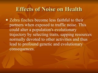 Effects of Noise on Health Zebra finches  become less faithful to their partners when exposed to traffic noise. This could alter a population's evolutionary trajectory by selecting traits, sapping resources normally devoted to other activities and thus lead to profound genetic and evolutionary consequences. 