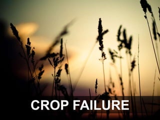 CROP FAILURE
 