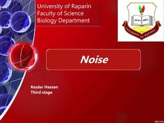 University of Raparin
Faculty of Science
Biology Department
Rezdar Hassan
Third stage
Noise
 