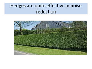 Hedges are quite effective in noise
reduction
 