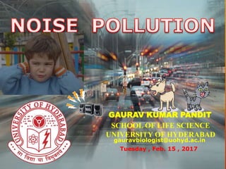 NOISE POLLUTION
SCHOOL OF LIFE SCIENCE
UNIVERSITY OF HYDERABAD
gauravbiologist@uohyd.ac.in
GAURAV KUMAR PANDIT
Tuesday , Feb. 15 , 2017
 
