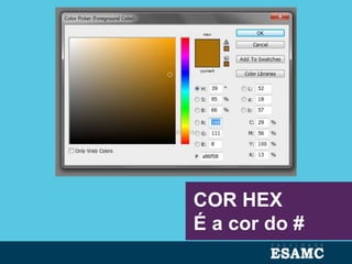 COR HEX
É a cor do #
 