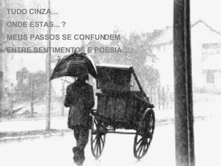 TUDO CINZA... ONDE ESTAS... ? MEUS PASSOS SE CONFUNDEM ENTRE SENTIMENTOS E POESIA .... 