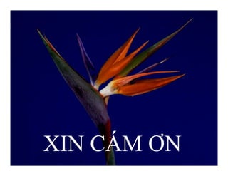 XIN CÁM ƠN
 