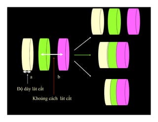 Độ dày lát cắt
Khoảng cách lát cắt
a b
 