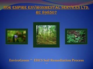 EnviroGreen ™ EHCS Soil Remediation Process
                    1-17
 